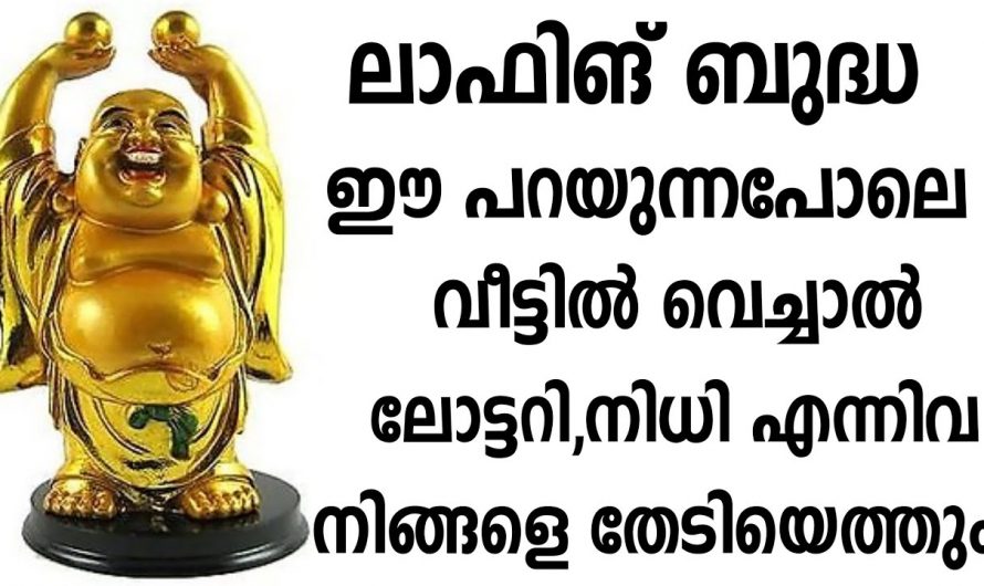 ലോഫിംഗ് ബുദ്ധ പ്രതിമ ഈ സ്ഥാനത്ത് വയ്ക്കു. ഇനി വീട്ടിൽ സമ്പത്ത്  ഒഴുകി വന്നുകൊണ്ടിരിക്കും.