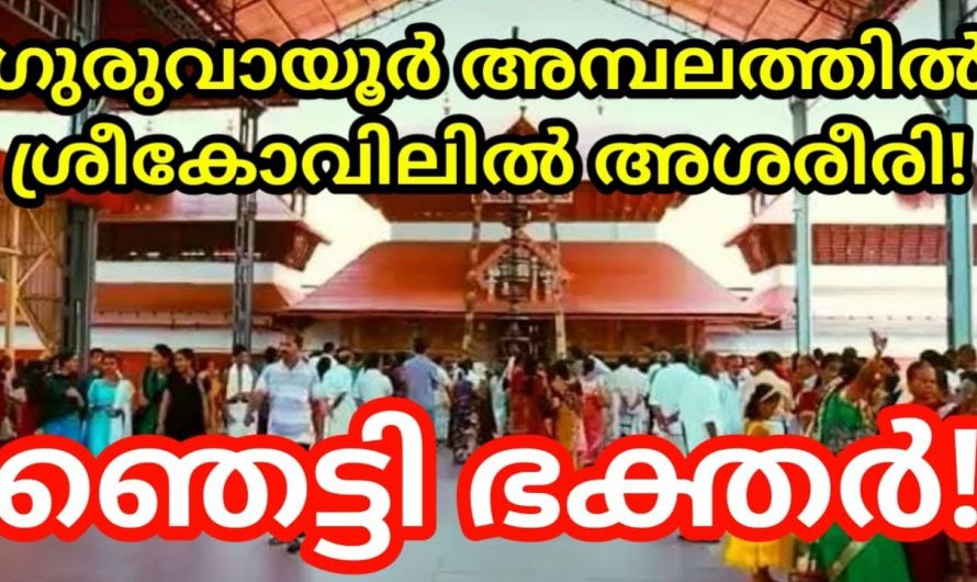 ഗുരുവായൂർ അമ്പലത്തിൽ തൊഴാൻ എത്തിയ വൃദ്ധന് സംഭവിച്ചത് കണ്ടോ. ഇതെല്ലാം ഭഗവാന്റെ ലീലകൾ.