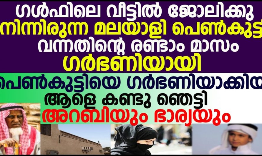 ഗൾഫിലേക്ക് വീട്ടിൽ ജോലിക്ക് പോയ മലയാളി പെൺകുട്ടിയും മാസങ്ങൾക്ക് ശേഷം ഗർഭിണിയായി. ഗർഭിണിയാക്കിയ ആളെ കണ്ട് ഞെട്ടി കുടുംബം.