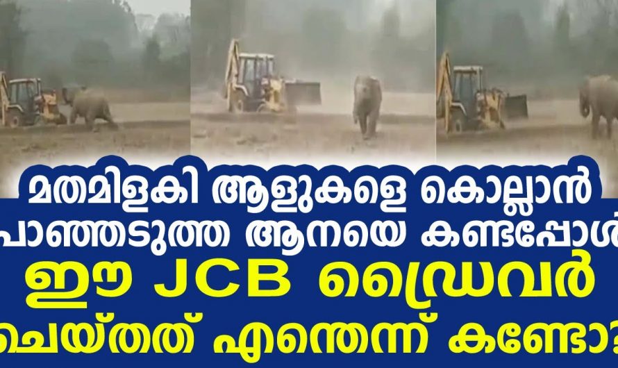 അതൊരു വല്ലാത്ത മത്സരമായി പോയല്ലോ. ജെസിബിയും ആനയും ഇതിൽ ആര് ജയിക്കും?