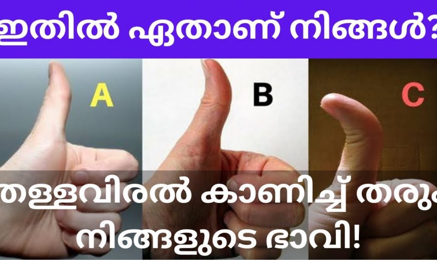 നിങ്ങളുടെ കൈയിലെ തള്ളവിരലിന്റെ ലക്ഷണം നോക്കി നിങ്ങളുടെ ഭാവി എന്താണെന്ന് അറിയാം.