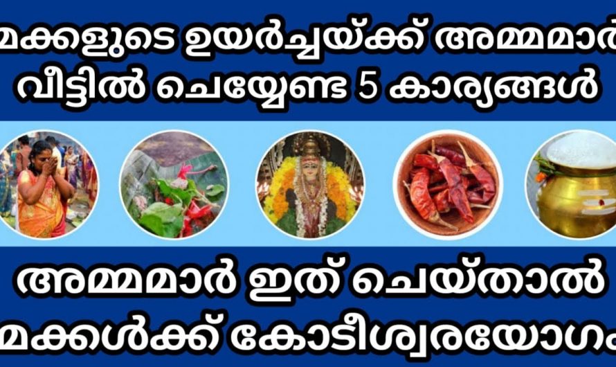 മക്കൾക്ക് ഉണ്ടാക്കാൻ വേണ്ടി അമ്മമാർ വീട്ടിലുടങ്ങാതെ ചെയ്യേണ്ട കാര്യങ്ങൾ. അമ്മമാർ ഇത് കാണാതെ പോകരുത്.