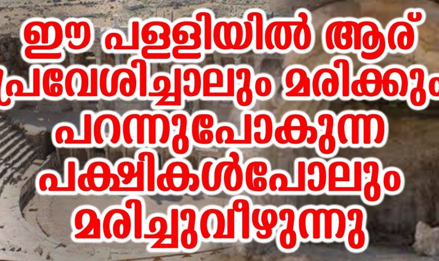 ലോകത്തിലെ എല്ലാവരുടെയും ജീവൻ എടുക്കുന്ന നരക ദേവാലയം കണ്ടോ. ഇവിടെ ചെന്നാൽ ഉടനെ മരിക്കാം.