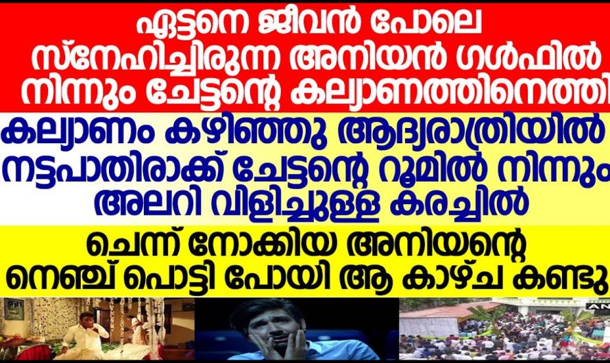 ഒരുപാട് ആഗ്രഹത്തോടെ നടത്തിയ ചേട്ടന്റെ കല്യാണം ഒടുവിൽ മരണ വീടായി മാറി. ആരുടെയും കണ്ണ് നിറഞ്ഞു പോകുന്ന യഥാർത്ഥ കഥ.