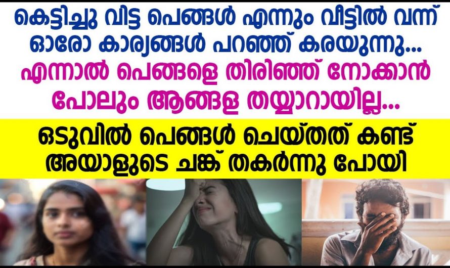 ഭർത്താവിന്റെ വീട്ടിൽ നിന്നും വഴക്കിട്ട് വരുന്ന പെങ്ങളെ ആട്ടിപ്പായിച്ചിരുന്ന ചേട്ടൻ. ഒടുവിൽ പെങ്ങൾക്ക് സംഭവിച്ചത് കണ്ടോ.