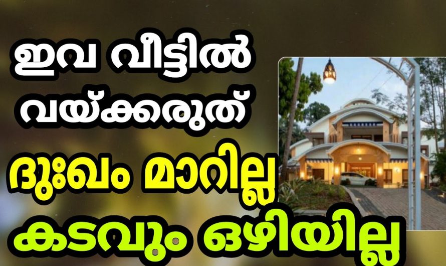 ഈ വസ്തുക്കൾ വീട്ടിലുണ്ടെങ്കിൽ ഇനി ദുഃഖം ഒഴിയില്ല. ഉടനെ എടുത്തുമാറ്റൂ.