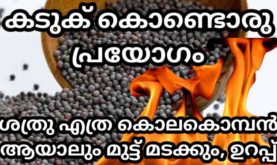 കടുക് കൊണ്ടുള്ള ഈ ഉഗ്രപ്രയോഗത്തോടെ എത്ര വലിയ ശത്രു ദോഷവും ഉടനെ തീരും.