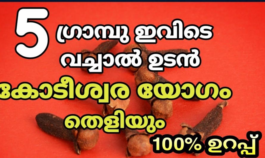 5 ഗ്രാമ്പു കയ്യിൽ വെച്ച് ഇങ്ങനെ ചെയ്താൽ ഇനി വീട്ടിൽ സമ്പത്ത് വന്നു നിറയും.