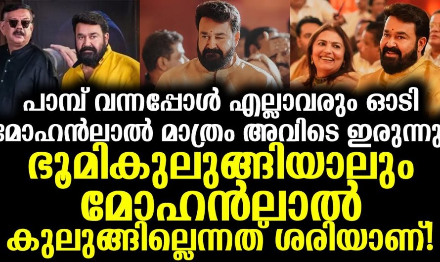 അങ്ങനെ ഒന്നിന്റെ മുൻപിലും തളരുന്നവനല്ല നമ്മുടെ ലാലേട്ടൻ. പ്രിയദർശൻ പറയുന്നത് ശരിയാണ്.