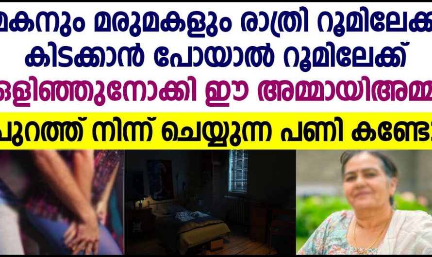 മരുമകളെ ഉപദ്രവിക്കുന്ന അമ്മമാർക്ക് ഈ പണി തന്നെ കിട്ടണം. നിങ്ങൾക്കും ഉണ്ടോ ഇതുപോലെയുള്ള അമ്മായി അമ്മ.