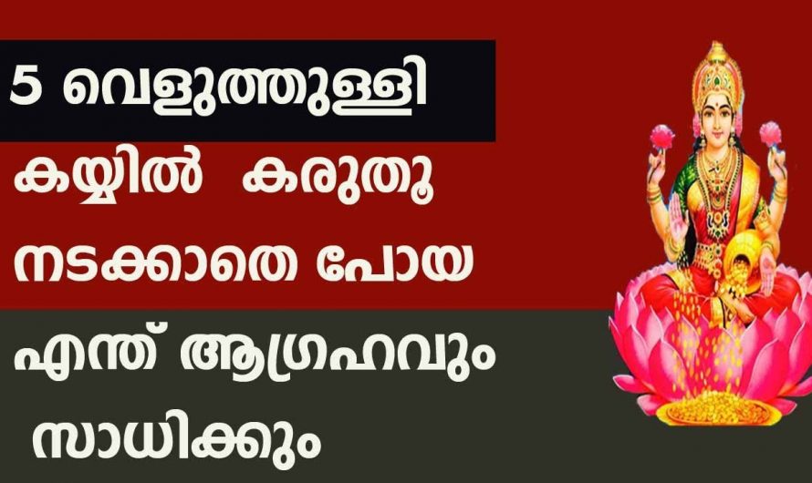 എല്ലാം ഇന്ന് തന്നെ നടക്കാത്ത എല്ലാ ആഗ്രഹങ്ങളും നടന്നിരിക്കും അഞ്ചു വെളുത്തുള്ളി കയ്യിൽ വെച്ച് ഇതുപോലെ ചെയ്യൂ.