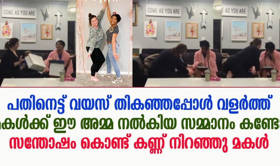 പതിനെട്ടാം വയസ്സ് പൂർത്തിയായപ്പോൾ വളർത്തമ്മ മകൾക്ക് നൽകിയ സമ്മാനം കണ്ടോ. സമ്മാനം കണ്ട് കണ്ണ് നിറഞ്ഞു മകൾ.