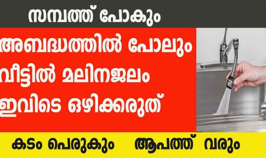 അറിയാതെ പോലും വീട്ടിലെ മാലിന്യങ്ങൾ ഇവിടെ ഒഴിക്കരുത്. പിന്നെ ആപത്ത് ഉറപ്പ്.