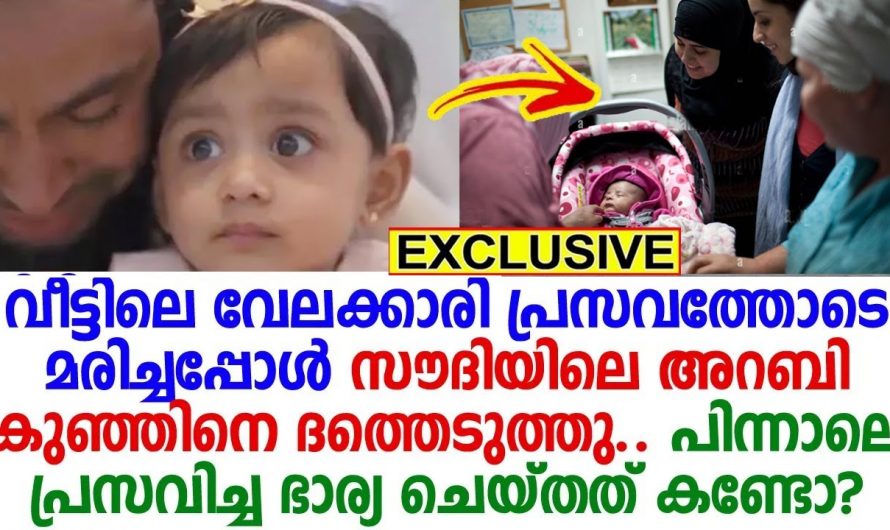 പ്രസവത്തിൽ മരിച്ച വേലക്കാരിയുടെ മകളെ ഏറ്റെടുത്ത് അറബി കുടുംബം. ആ കുട്ടിക്ക് ലഭിച്ച ഭാഗ്യം കണ്ടു നോക്കൂ.