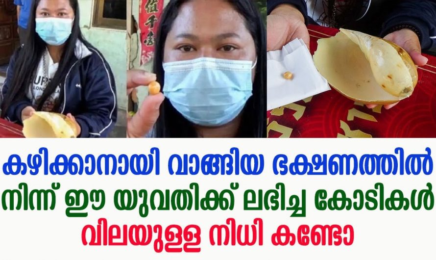 ഭാഗ്യം വരുന്ന വഴിയെ.!! ചെറിയ വില കൊടുത്ത് വാങ്ങിയ ഭക്ഷണത്തിൽ നിന്നും കിട്ടിയത് കോടികൾ വിലമതിക്കുന്ന നിധി….