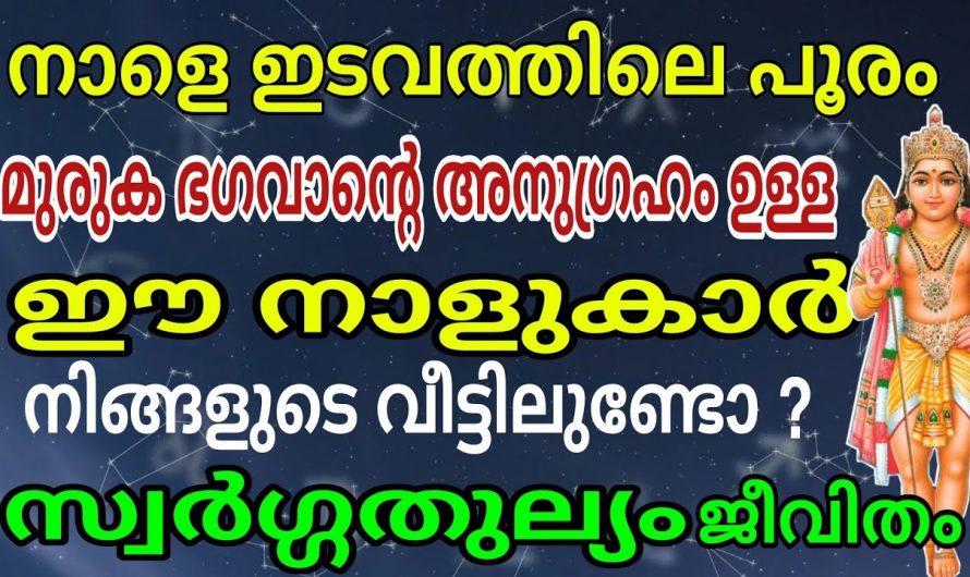 ഇടവമാസത്തിലെ പൂരം. മുരുക ഭഗവാന്റെ അനുഗ്രഹം ജീവിതത്തിൽ മഹാഭാഗ്യം വരാൻ പോകുന്ന നക്ഷത്രക്കാർ ഇതാ.