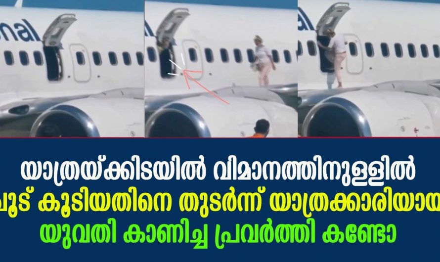 ചൂട് കൂടിയപ്പോൾ കാറ്റുകൊള്ളാൻ വിമാനത്തിന്റെ പുറത്തിറങ്ങിയ യുവതി. പിന്നീട് സംഭവിച്ചത് കണ്ടോ?