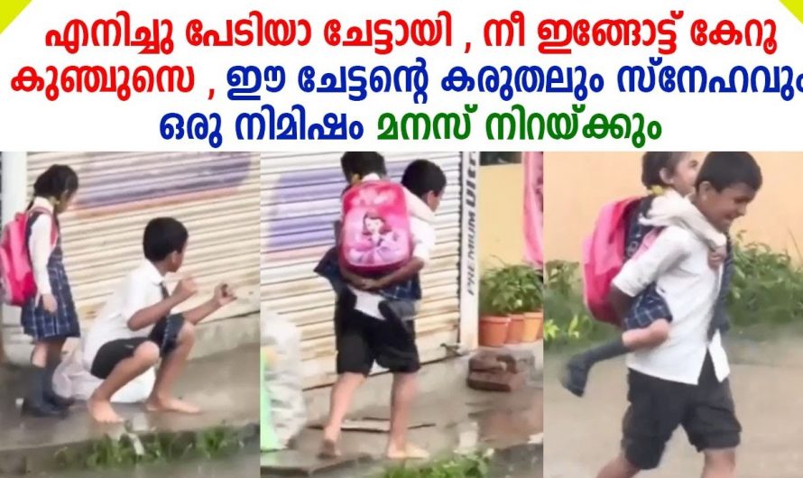 ഇതുപോലെ ഒരു ചേട്ടനെ കിട്ടിയതാണ് അനിയത്തിയുടെ വലിയ ഭാഗ്യം. കടുത്ത മഴയത്ത് അനിയത്തിയെ സ്കൂളിൽ കൊണ്ടുവിടാൻ ചേട്ടൻ ചെയ്തത് നോക്കൂ.