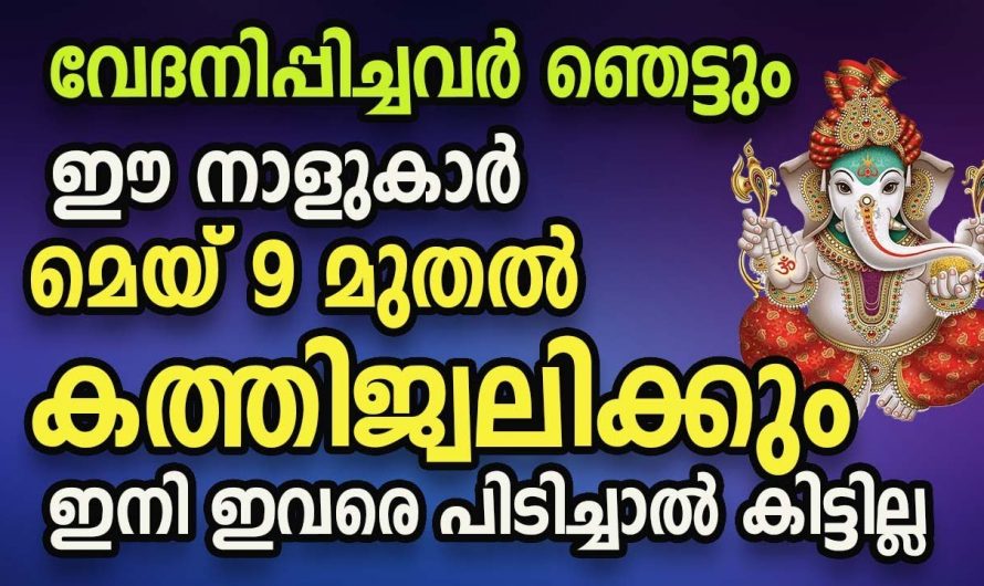 പരിഹസിച്ചവർക്ക് മുന്നിൽ തിളങ്ങിനിൽക്കാൻ പോകുന്ന നക്ഷത്രക്കാർ. ഇനി ഇവർക്ക് രാജയോഗ സമയം.