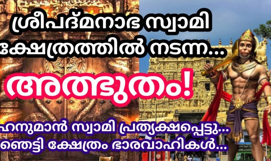 ഭക്തരെയെല്ലാം ഞെട്ടിച്ചുകൊണ്ട് പത്മനാഭസ്വാമി ക്ഷേത്രത്തിൽ നടന്ന അത്ഭുതം. നിങ്ങൾ ഇത് കേട്ടോ?