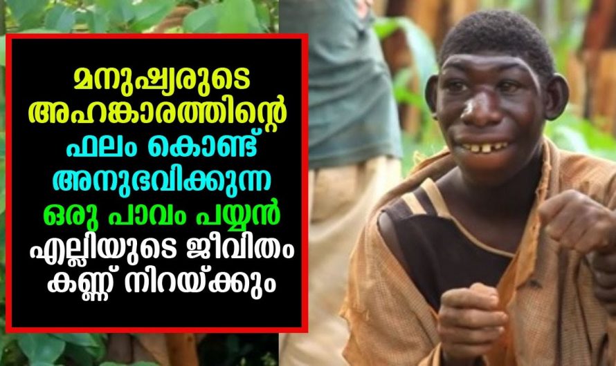 മറ്റുള്ളവരുടെ കളിയാക്കൻ കൊണ്ട് കാട് കയറേണ്ടി വന്ന ചെറുപ്പക്കാരൻ. പിന്നീട് സംഭവിച്ചത് കണ്ടോ.