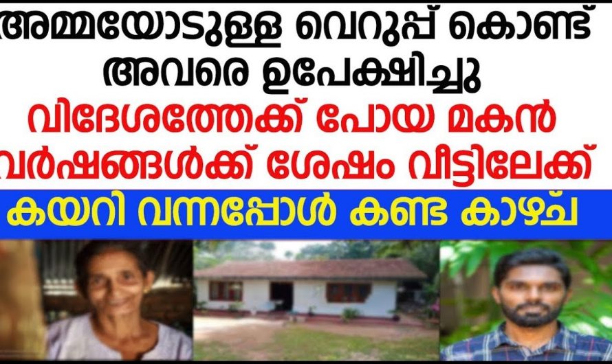 വർഷങ്ങളായി അമ്മയോട് ഉണ്ടായിരുന്ന വെറുപ്പ് ഒടുവിൽ മക്കൾക്ക് സംഭവിച്ച ദുരിതം കണ്ടോ.