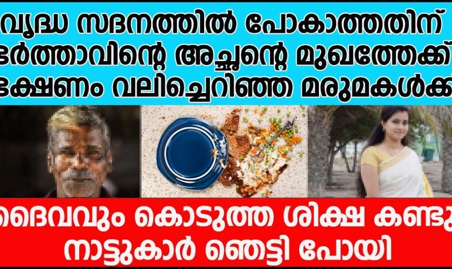 ഭർത്താവിന്റെ അച്ഛനെ എപ്പോഴും ദേഷ്യം ആയിരുന്ന മരുമകൾ ഒടുവിൽ ആ മരുമകൾക്ക് സംഭവിച്ചത് കണ്ടോ?