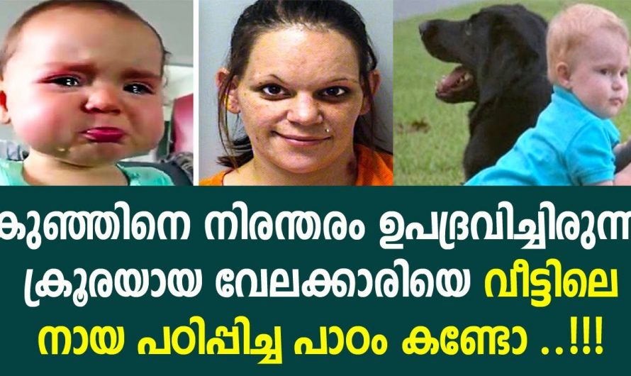 കുഞ്ഞിനെ നോക്കാൻ വന്ന സ്ത്രീ കുഞ്ഞിനെ ഉപദ്രവിക്കുന്നത് കണ്ടു വീട്ടില് നായ ചെയ്തത് നോക്കൂ. കുട്ടികളോട് ഇത്രയുംദ്രോഹമോ.