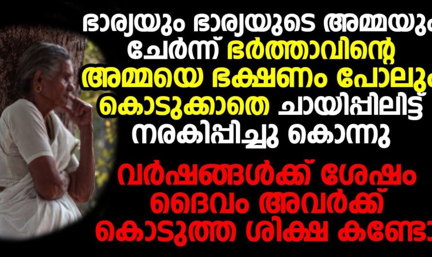 അമ്മായിഅമ്മയെ പട്ടിണികിട്ട് കഷ്ടപ്പെടുത്തിയ മരുമകൾക്ക് കാലങ്ങൾക്ക് ശേഷം സംഭവിച്ചത് നോക്കൂ. ഓരോ മരുമക്കളും ഇത് കേൾക്കണം.